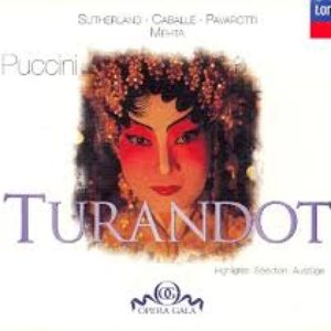 Image for 'Puccini: Turandot - Highlights'