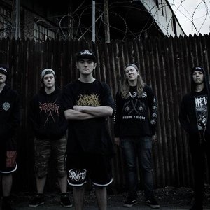 “Visions Of Disfigurement”的封面