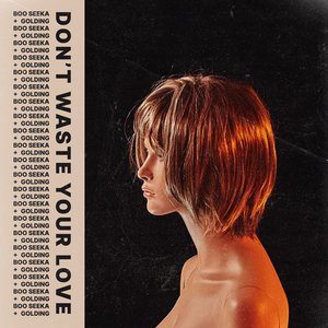 Image for 'Don't Waste Your Love'