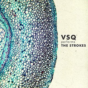 Image for 'VSQ Performs The Strokes'