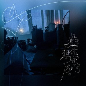 Image for '是想你的声音啊'