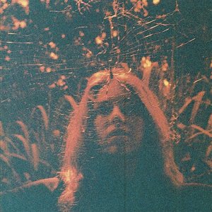 Изображение для 'Peripheral Vision'