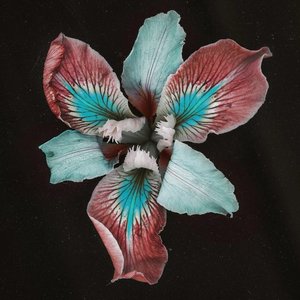 “Oasis Sky (Remixes)”的封面