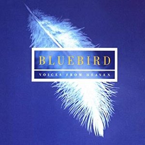 Image for 'Bluebird - Music Of Contemplation'