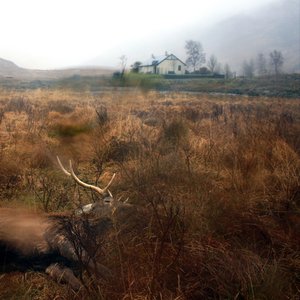 Image for 'Feels, Feathers, Bog And Bees'