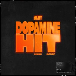 Image pour 'DOPAMINE HIT'