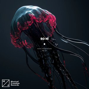 “So Hï”的封面