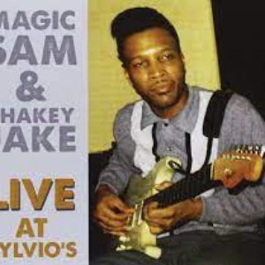 “Live At Sylvio's 1966”的封面