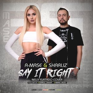 Изображение для 'Say It Right'