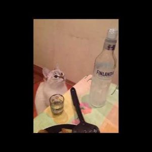 Изображение для 'Nas ne dogonyat'