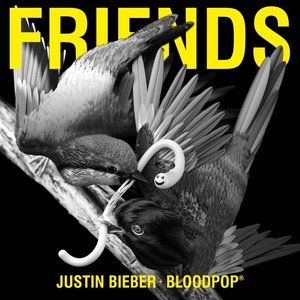 Image for 'Friends (with BloodPop®)'