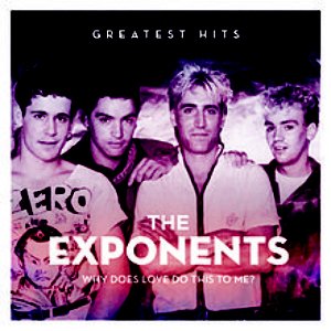 Image for 'Why Does Love Do This To Me: The Exponents Greatest Hits (Remastered)'