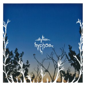 Bild für 'Hyphae'