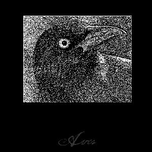 “Aves”的封面