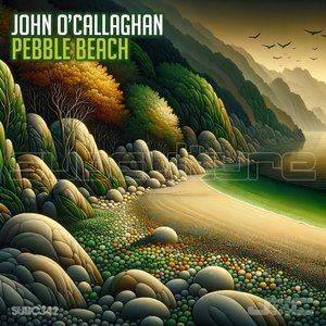 “Pebble Beach”的封面