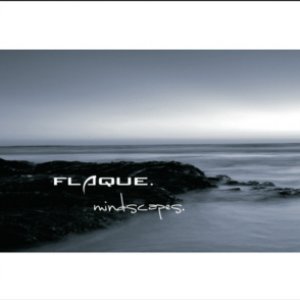 Image for 'Flaque'