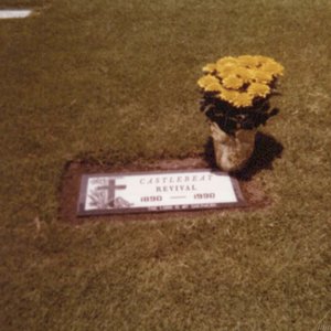 Image for 'Revival'