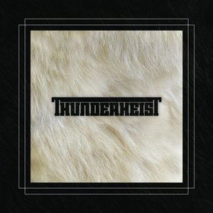 Image for 'Thunderheist'
