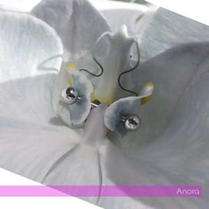 Изображение для 'Anora'
