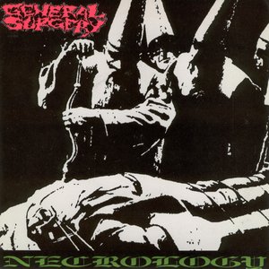 Image for 'Necrology'