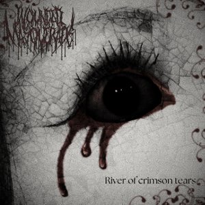 “River of crimson tears”的封面
