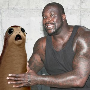 “Shaquille O'Neal”的封面