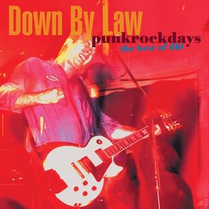 “Punkrockdays The Best Of DBL”的封面