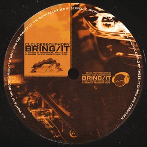 Image for 'BRING IT'