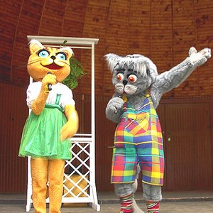 Image for 'Budzik'