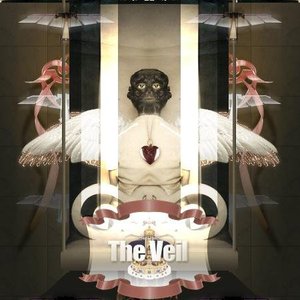 Image for 'the.veil'