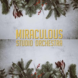Image for 'Miraculous Studio Orchestra'