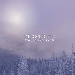 Image for 'Frostbite'