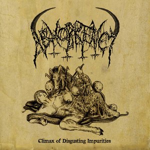 Image for 'Climax of Disgusting Impurities'