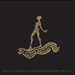 Изображение для 'Only 4 U: The Sound Of Cajmere & Cajual Records 1992-2012'