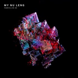 'FABRICLIVE 86: My Nu Leng (DJ Mix)'の画像