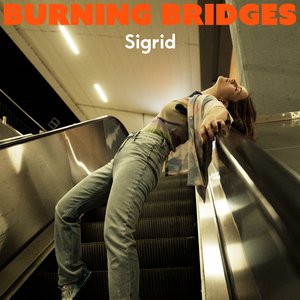 Image for 'Burning Bridges'