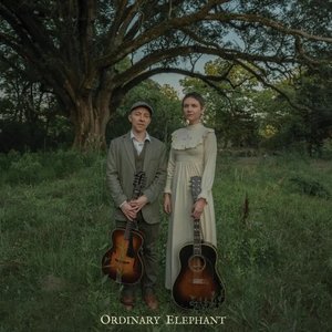 Изображение для 'Ordinary Elephant'