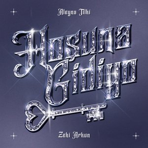 Image for 'Hoşuna Gidiyo'