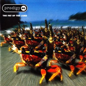 'The Fat Of The Land Expanded [15Th Anniversary] Edition [Cd, Reissue, Uk, 12.2012, Xl Recordings Xlcd586] Cd1'の画像