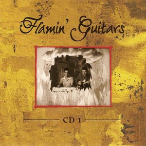 Imagen de 'Flamin' Guitars'