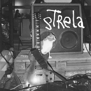 Image for 'Strela'