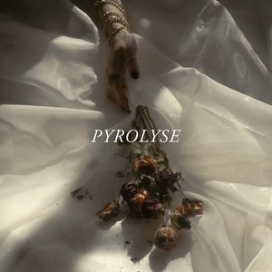 Image for 'PYROLYSE'