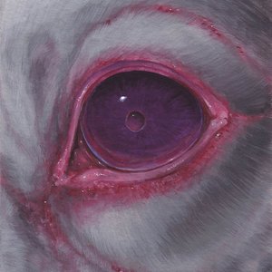 Image for 'OMNIA OBSCURA'