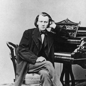Immagine per 'Johannes Brahms'