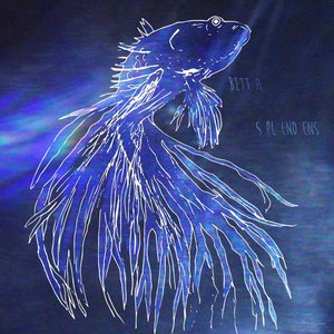 Изображение для 'Betta Splendens'