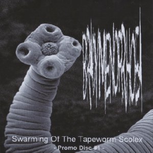 'Swarming In The Tapeworm Scolex' için resim