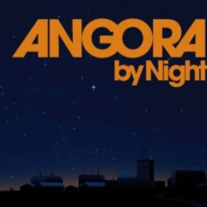 Image for 'Angora by Night'