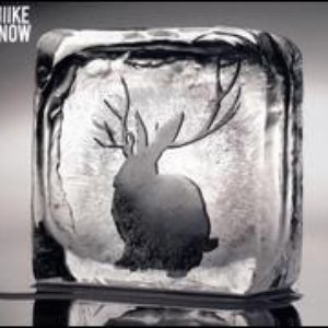 “Miike Snow WEB”的封面