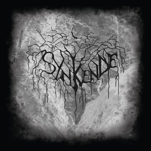 Image for 'Synkende'
