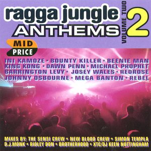 Bild för 'Ragga Jungle Anthems Vol. Two'